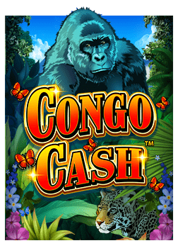 เคล็ดลับวิธีเล่น สล็อต มาเฟีย ทั้งหมด ล่าสุด แบบมือโปร